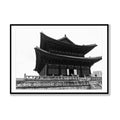 Harmony in Seoul