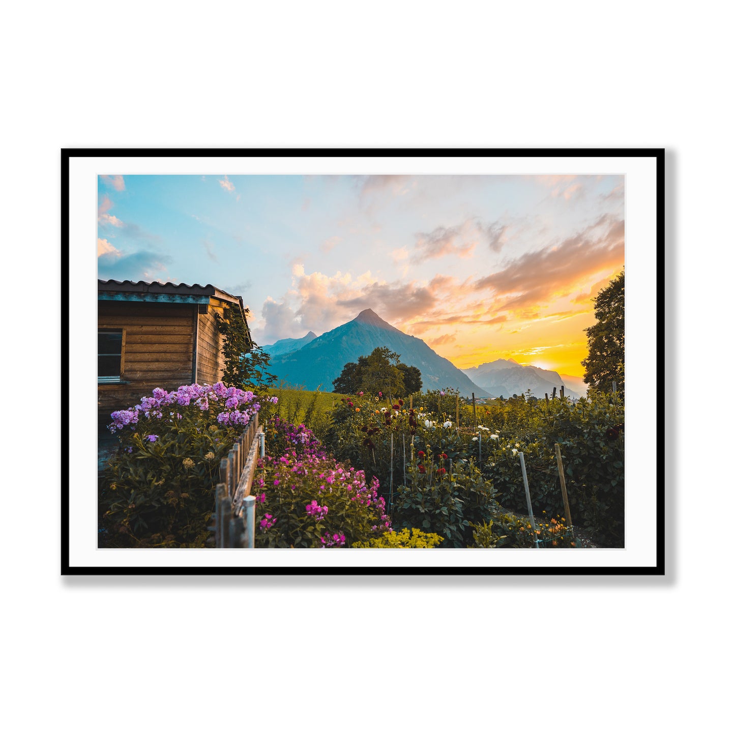Alpine Horizons