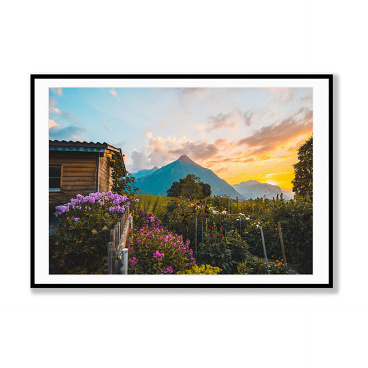 Alpine Horizons