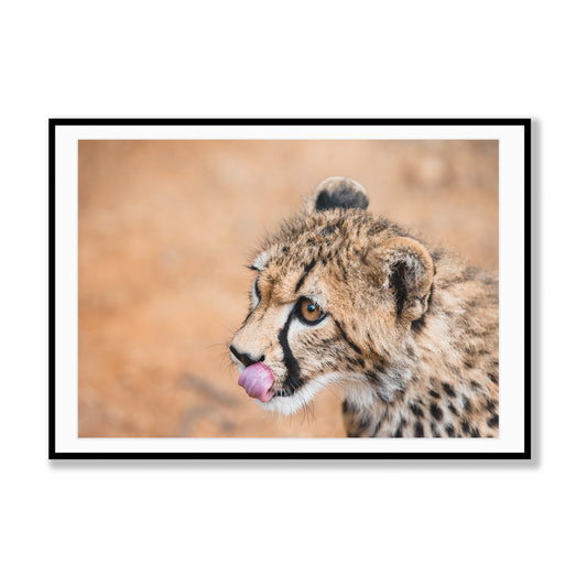 Cheetah’s Prowess