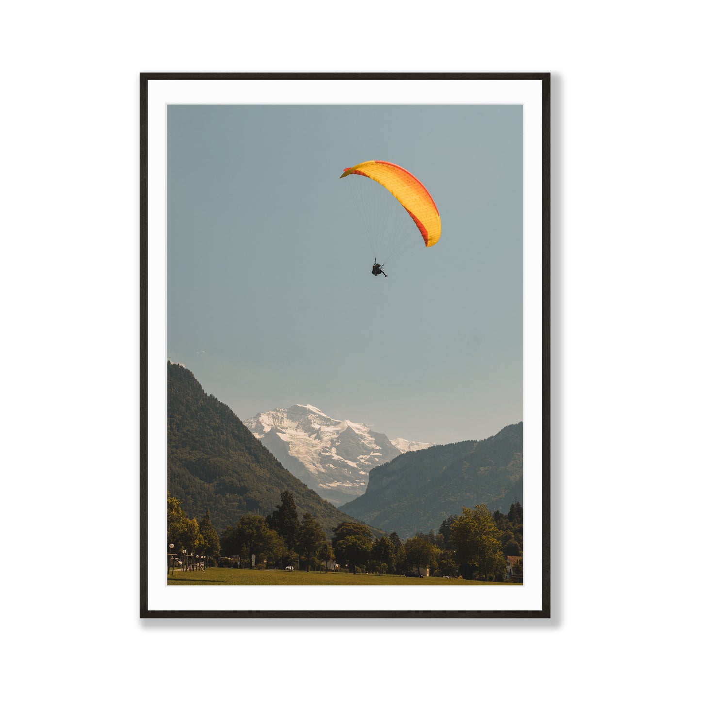 Flight of Wonder