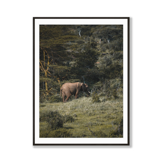 Roaming Giant