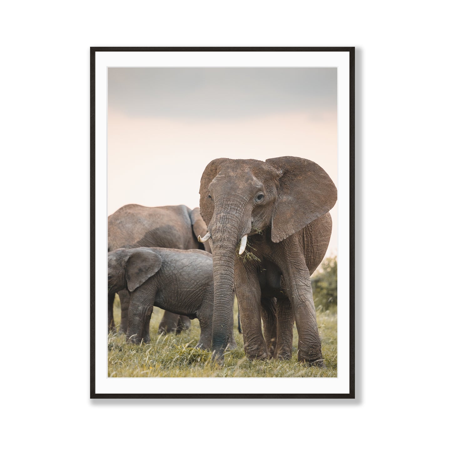 Dusk in the Mara