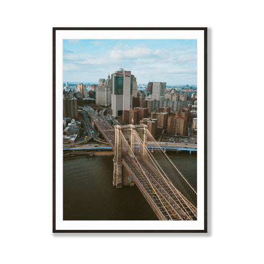 Concrete Jungle