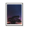 Mystic Forests