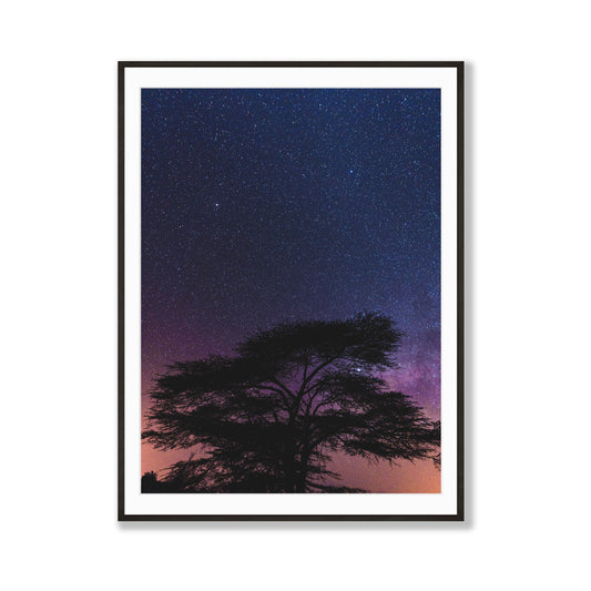 Mystic Forests