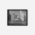 The Art of Chicago
