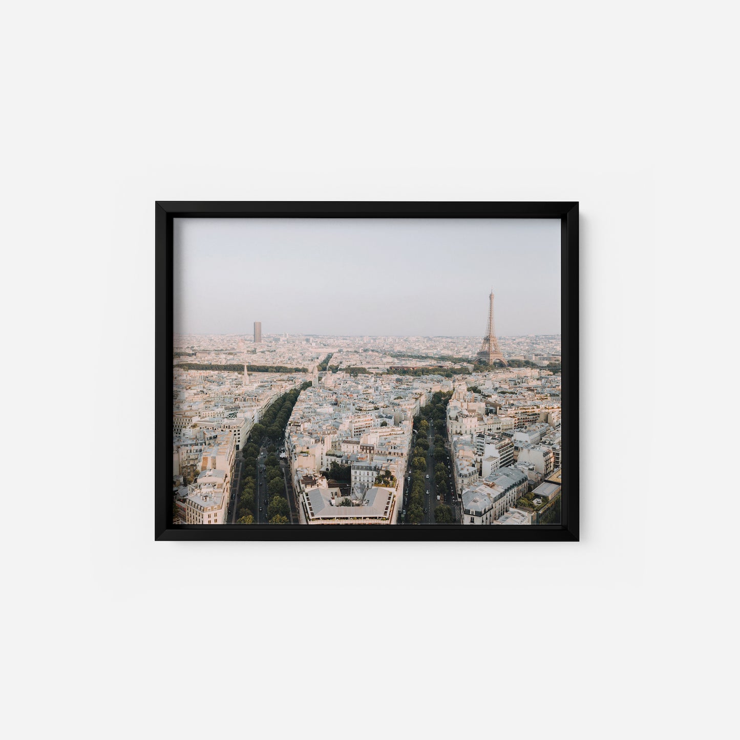 Parisian Panorama