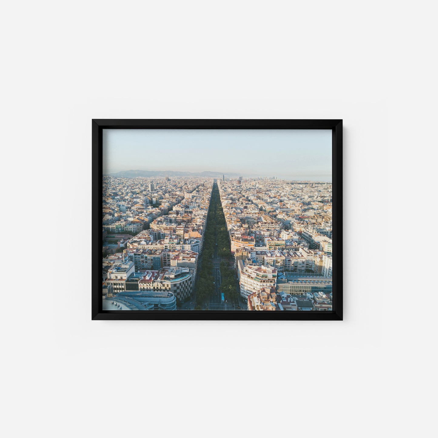 Barcelona From Above