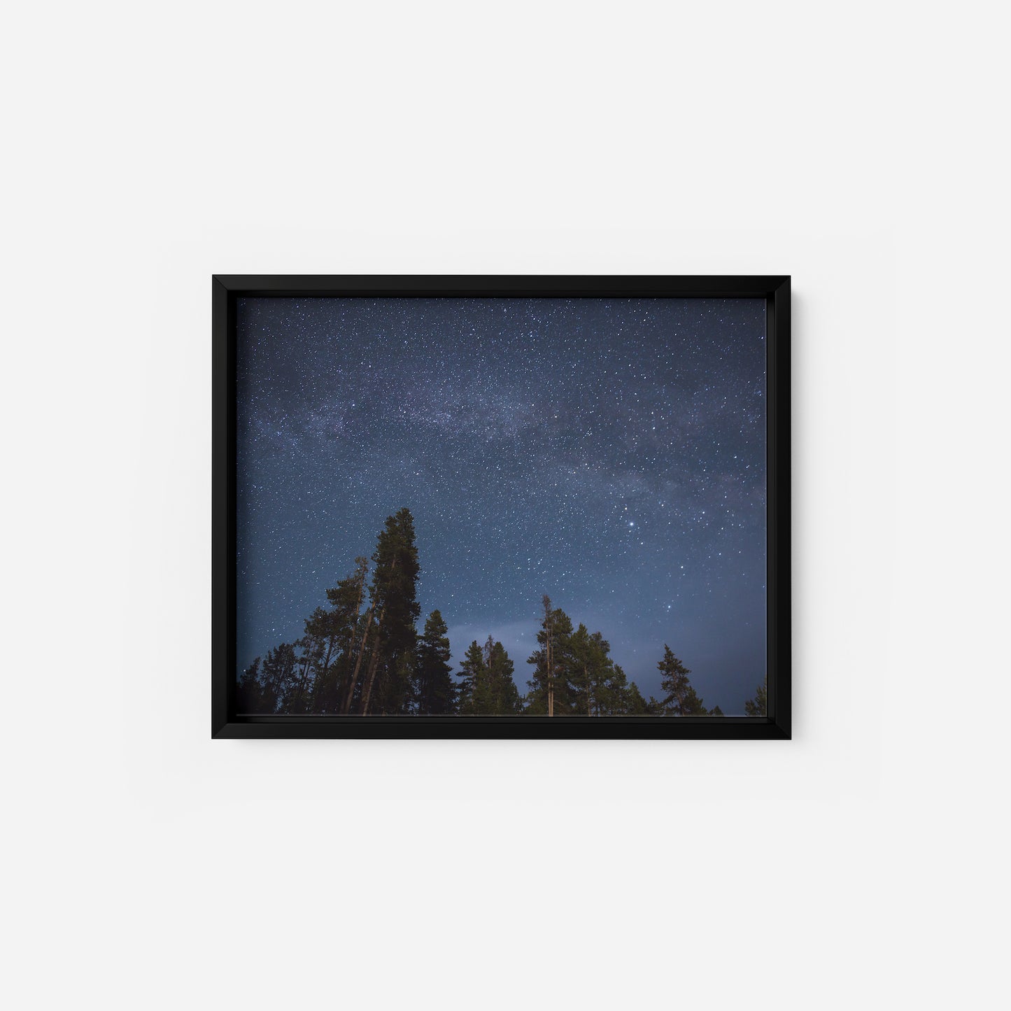 Aurora Dreams