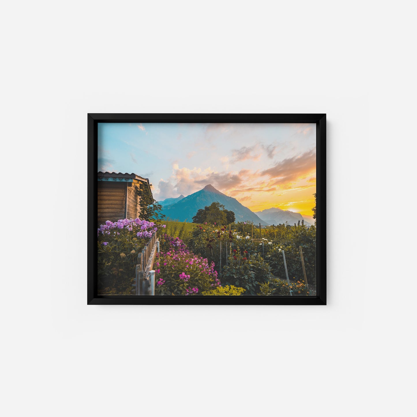 Alpine Horizons