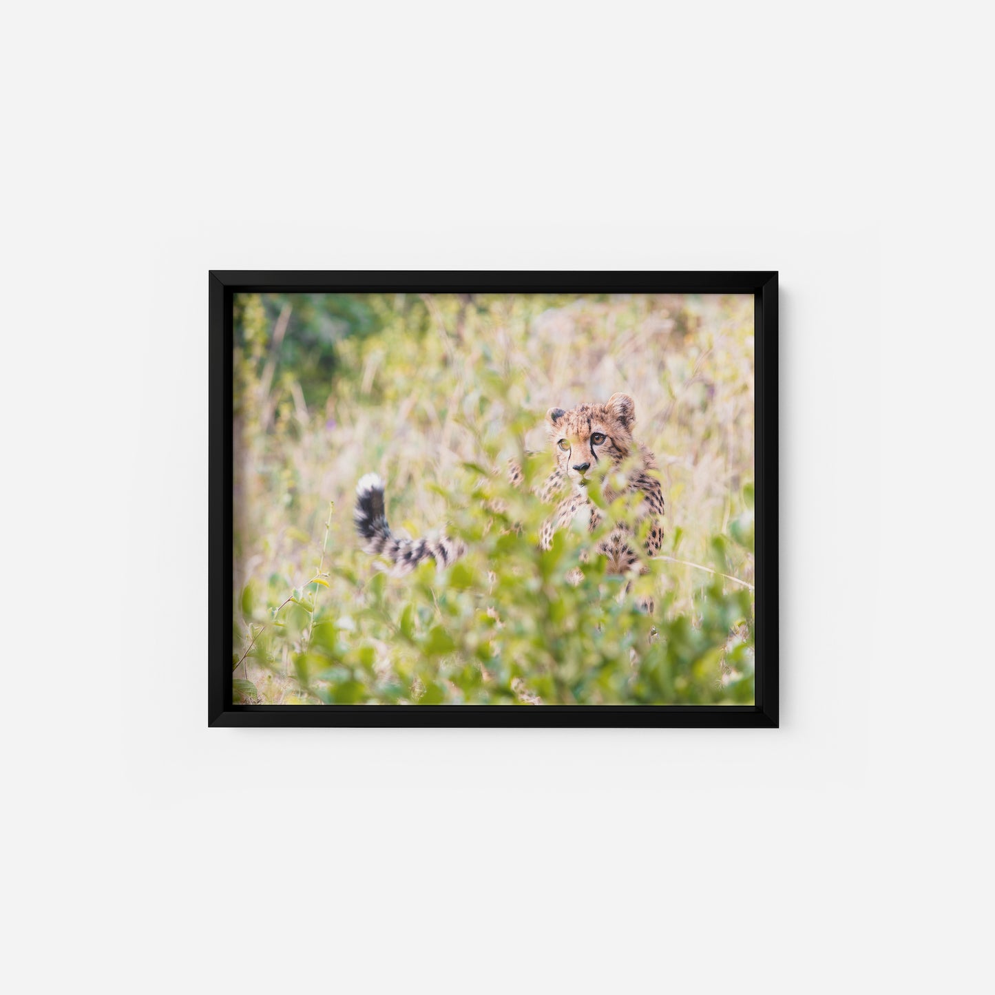 Whispers in the Grass