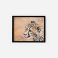 Cheetah’s Prowess