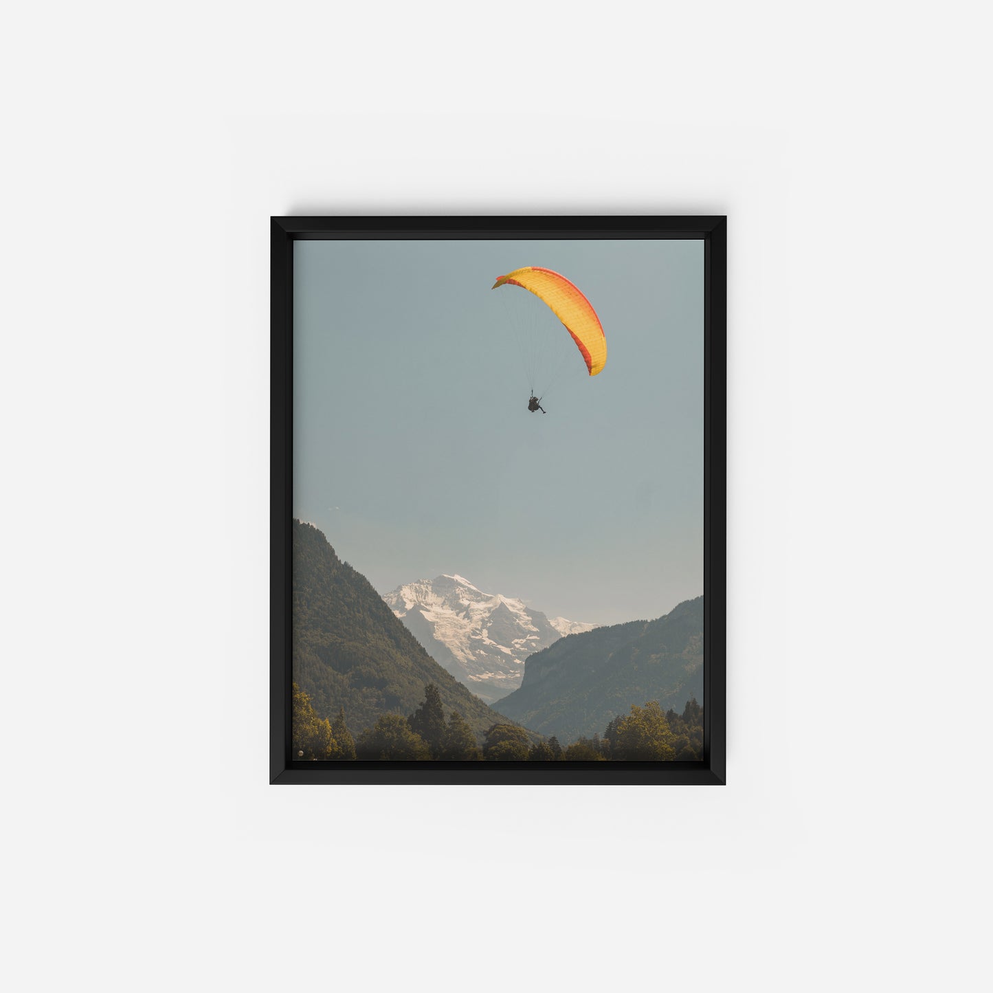 Flight of Wonder