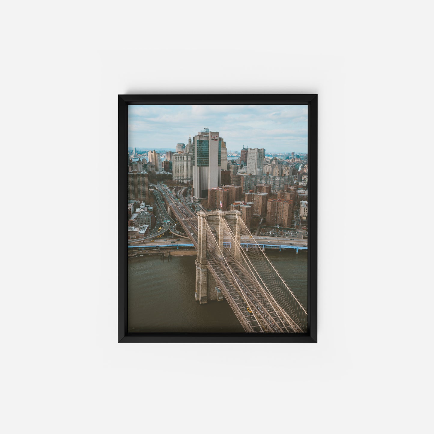 Concrete Jungle
