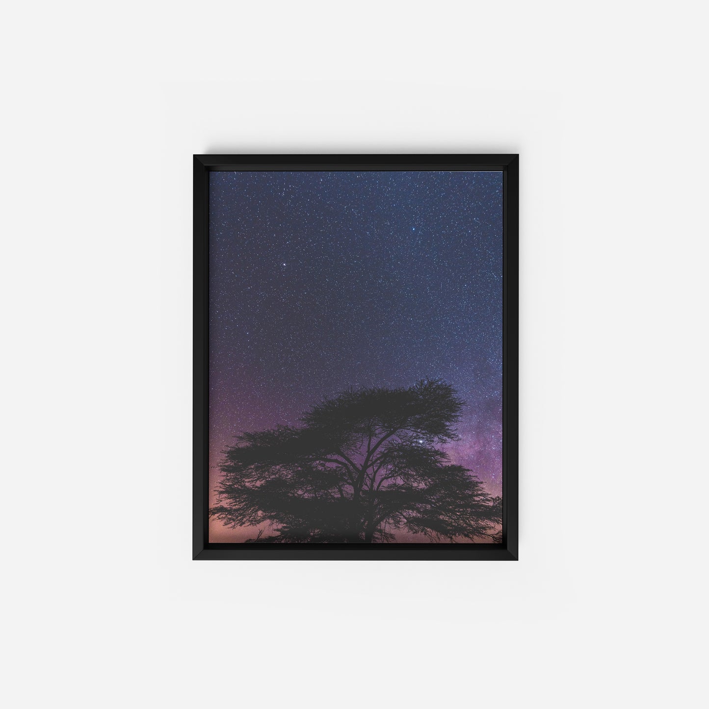 Mystic Forests