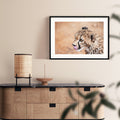 Cheetah’s Prowess