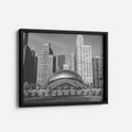 The Art of Chicago