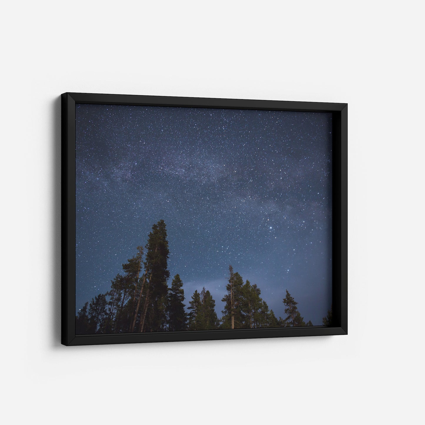 Aurora Dreams