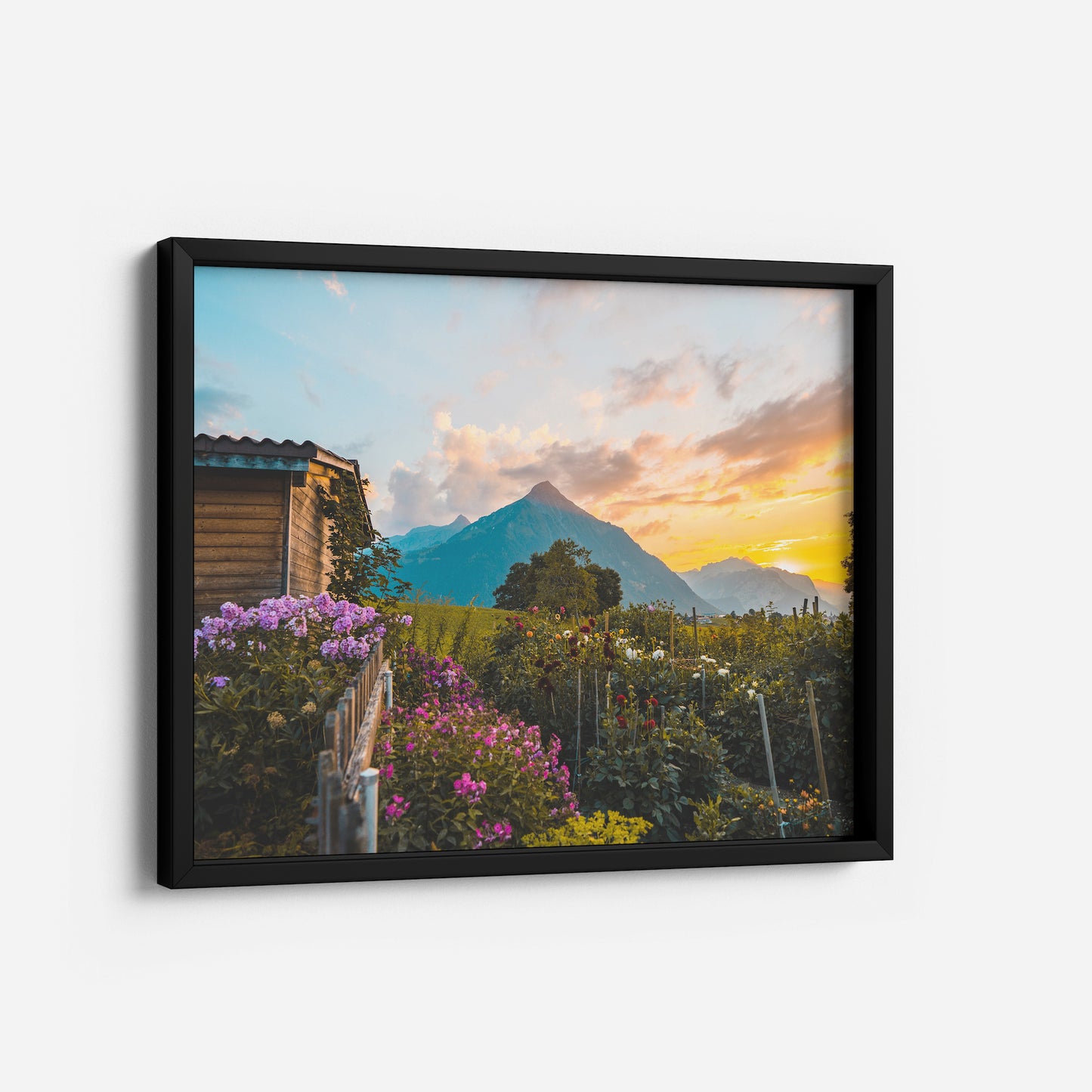 Alpine Horizons