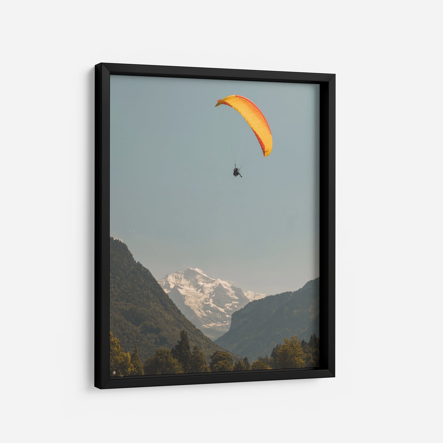 Flight of Wonder