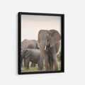 Dusk in the Mara