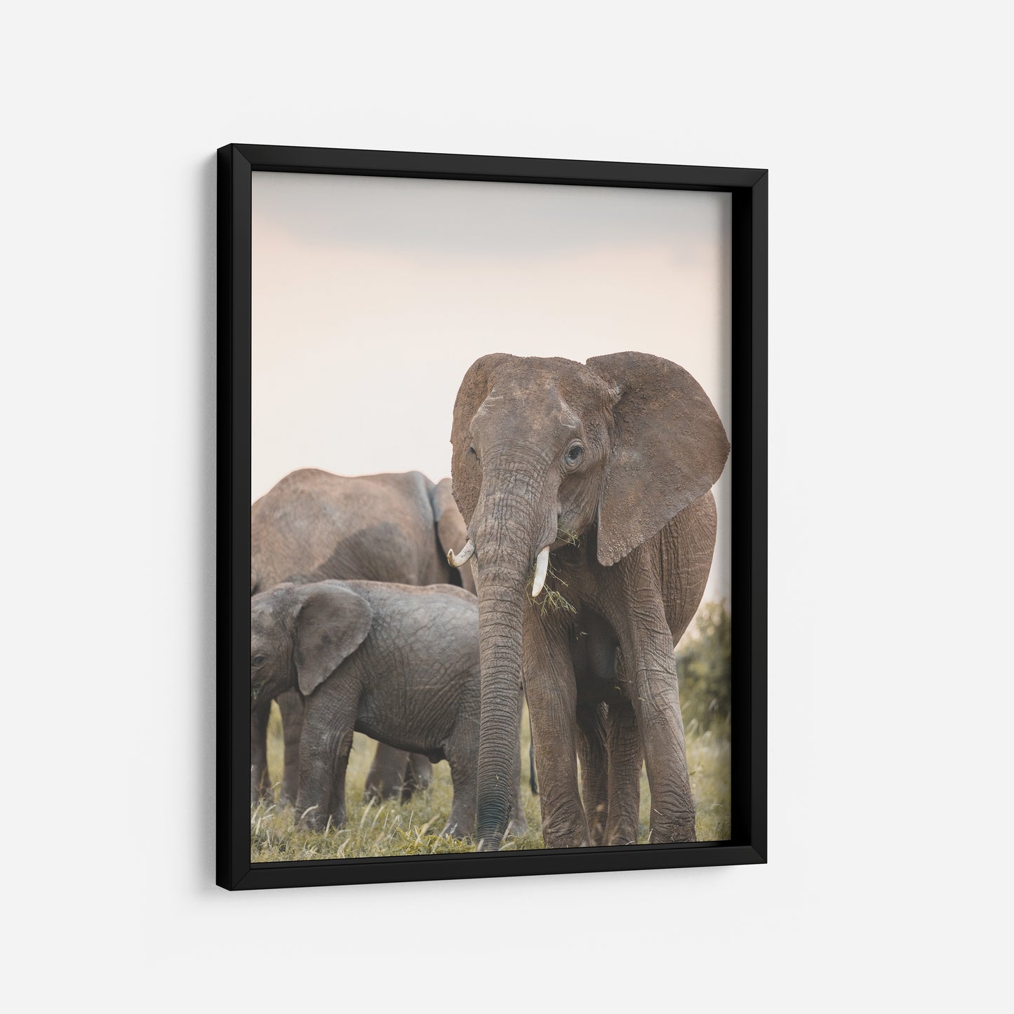 Dusk in the Mara