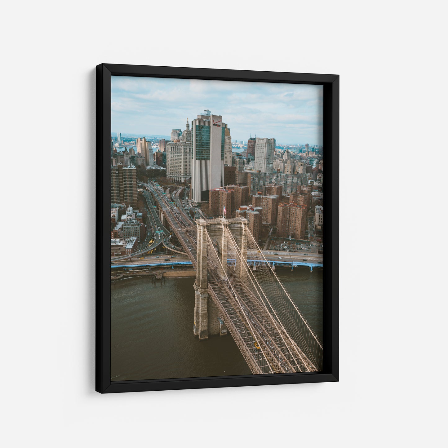 Concrete Jungle