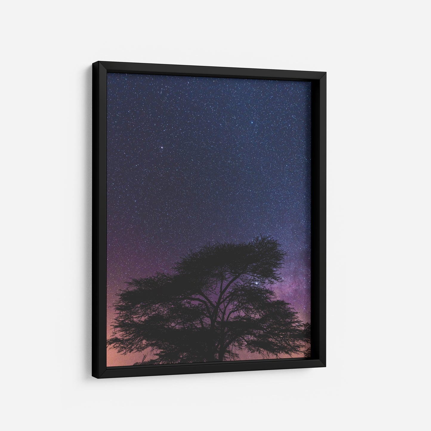Mystic Forests