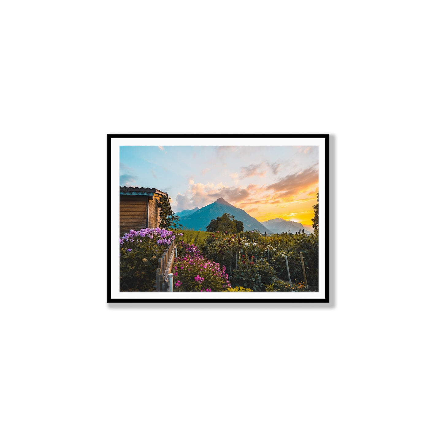 Alpine Horizons