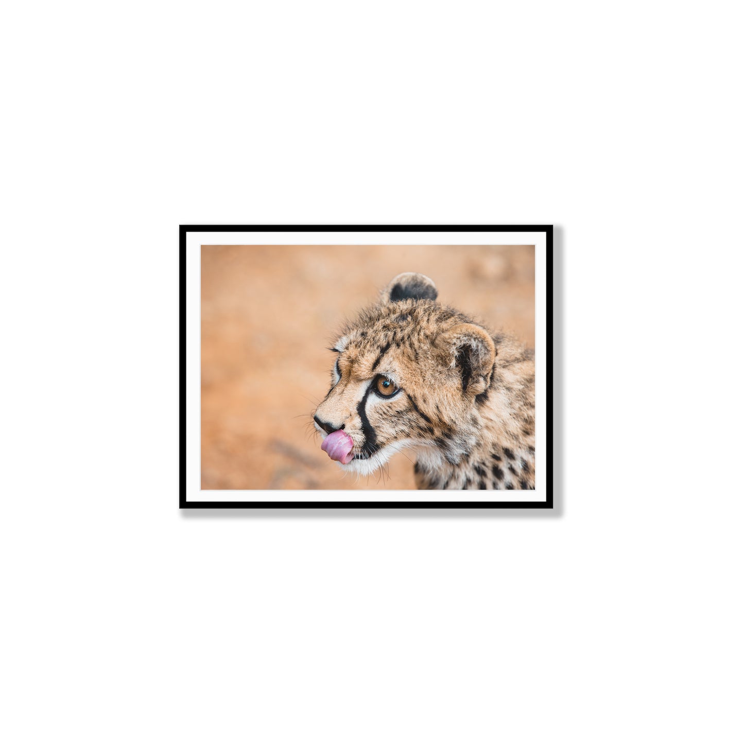 Cheetah’s Prowess