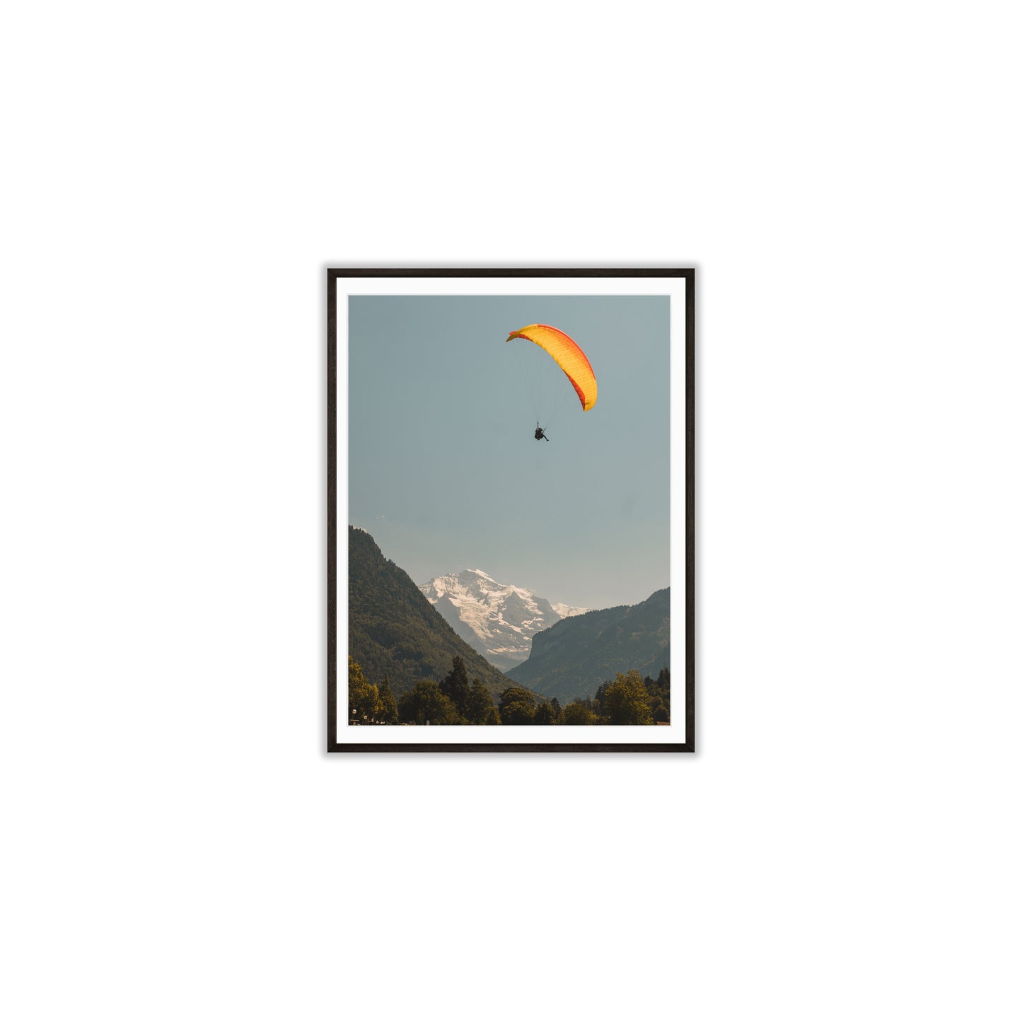 Flight of Wonder