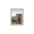 Dusk in the Mara