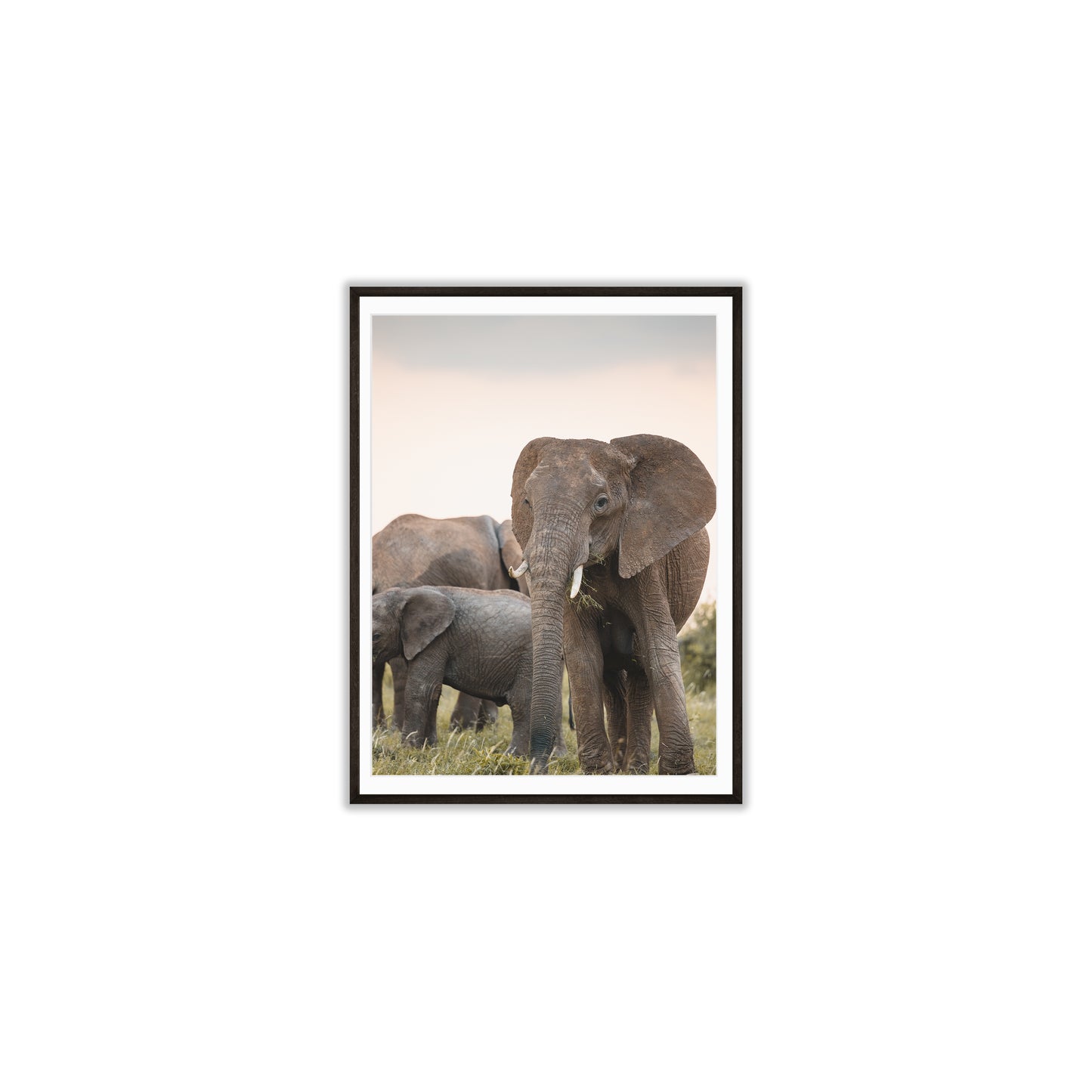 Dusk in the Mara