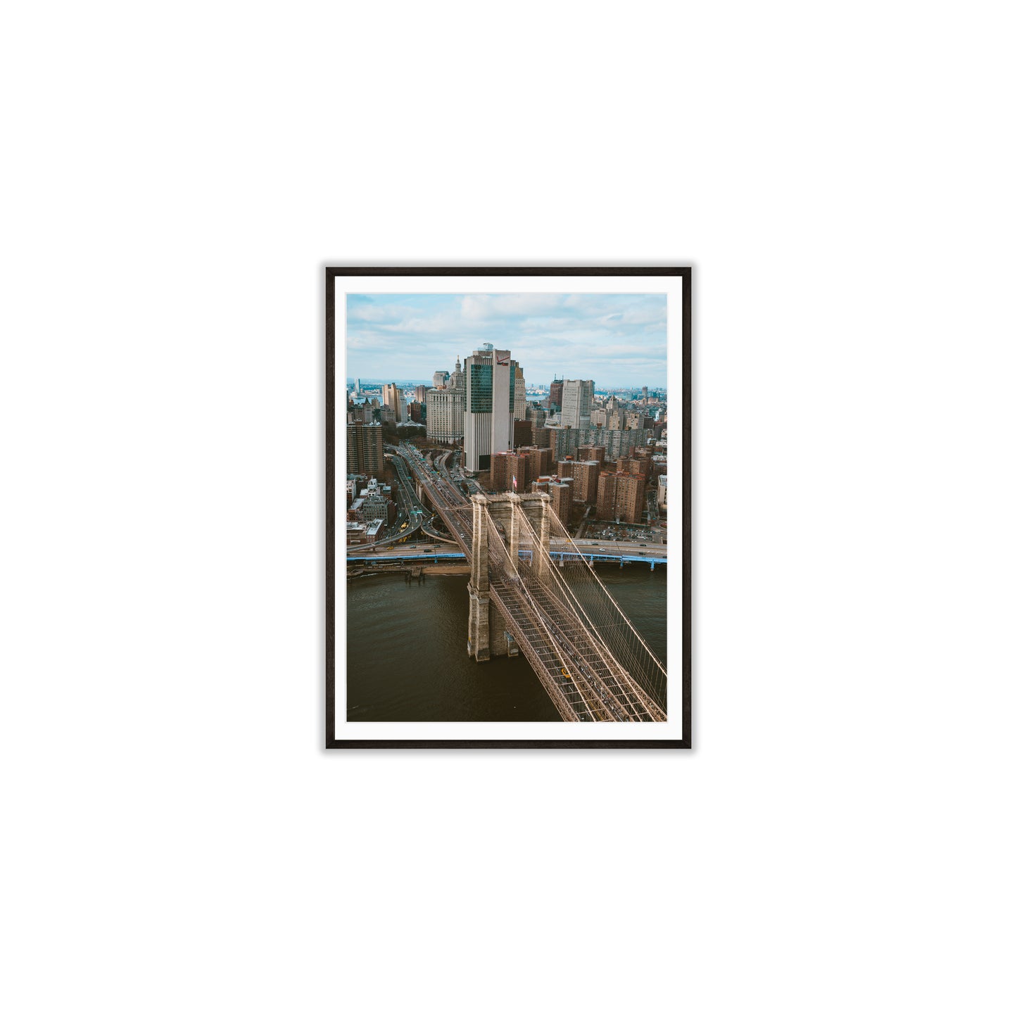 Concrete Jungle