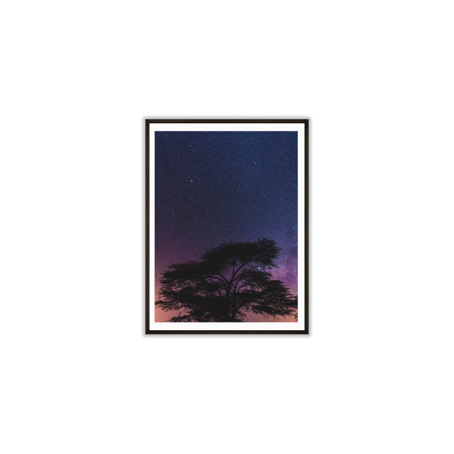 Mystic Forests