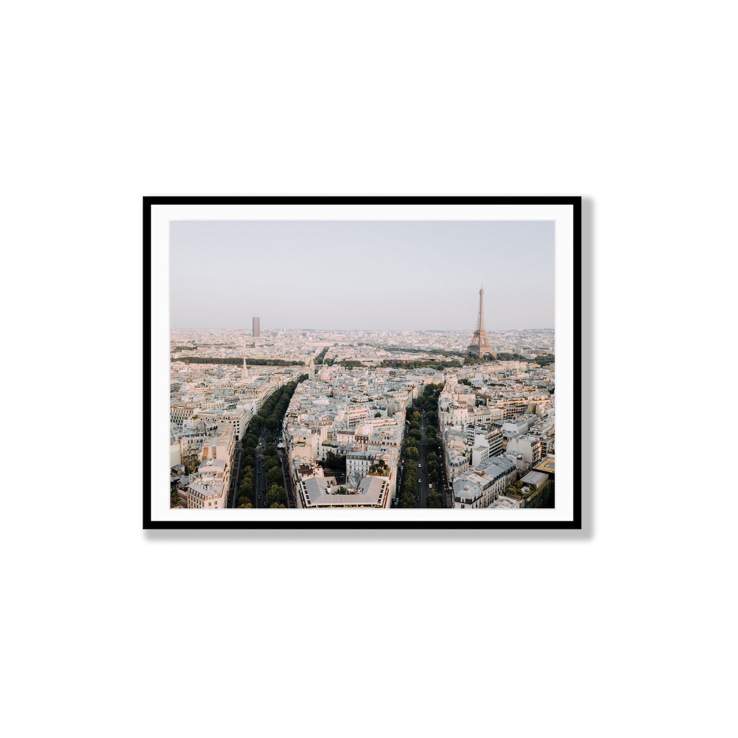 Parisian Panorama