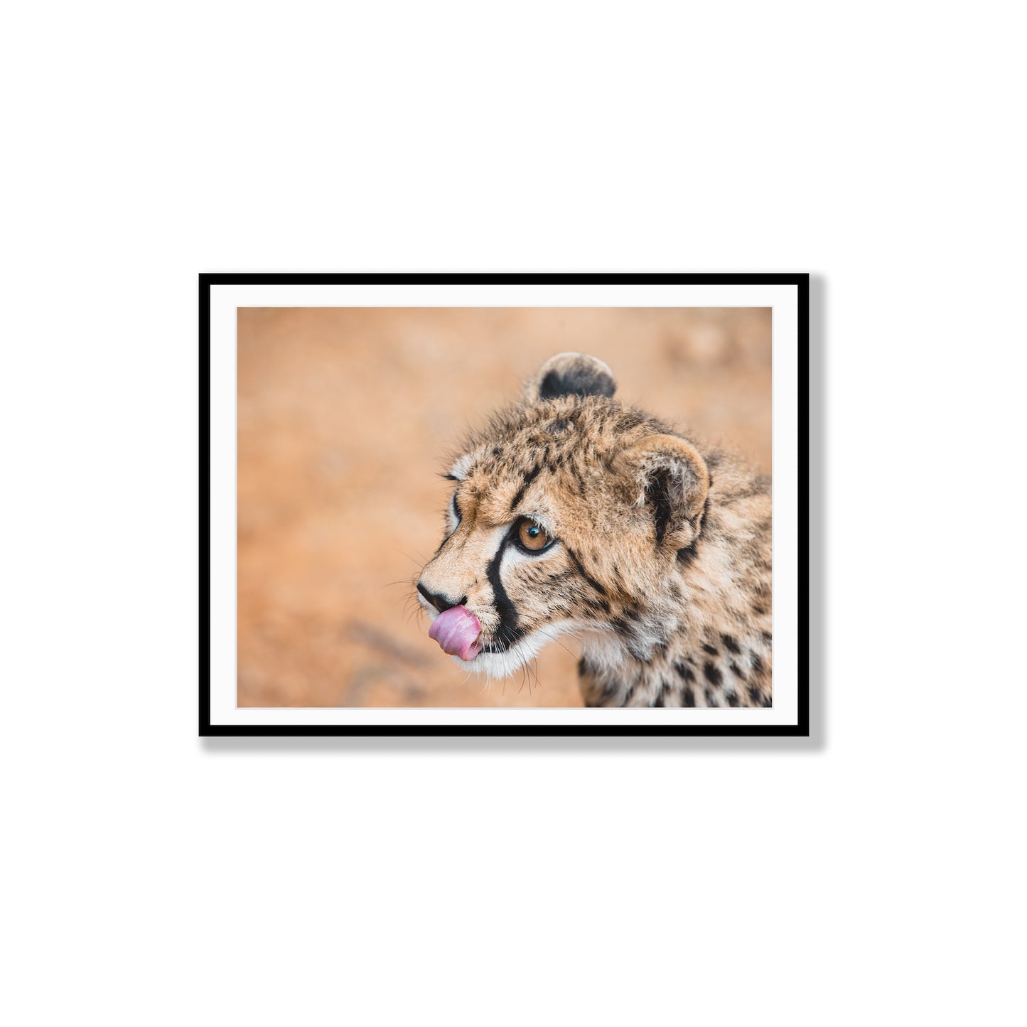 Cheetah’s Prowess