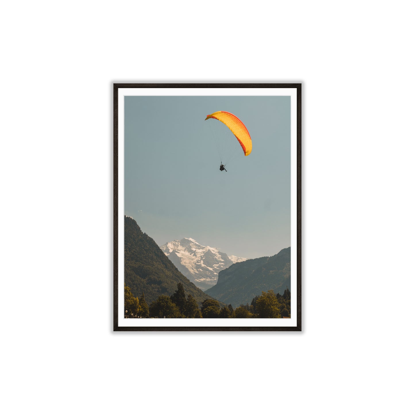 Flight of Wonder