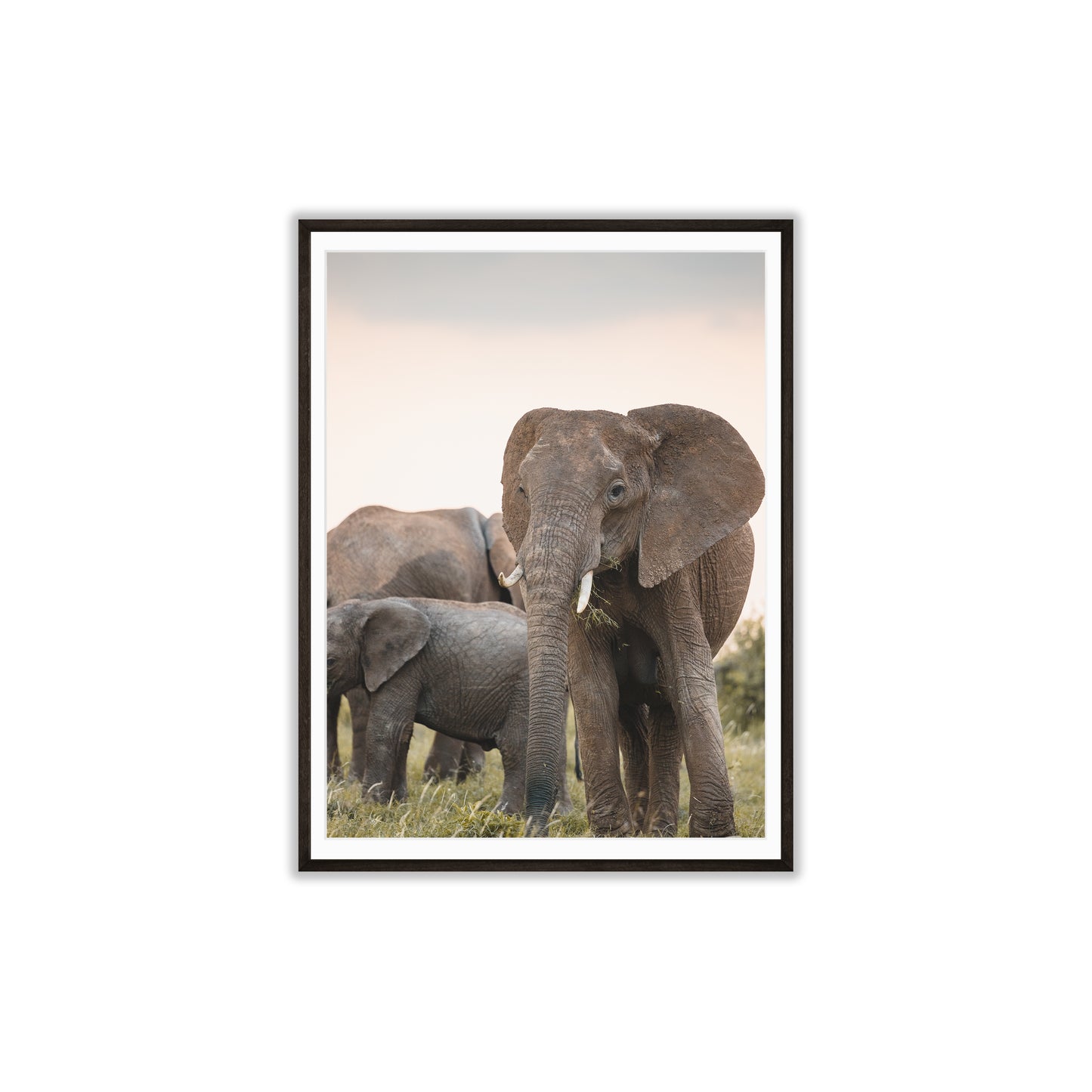 Dusk in the Mara