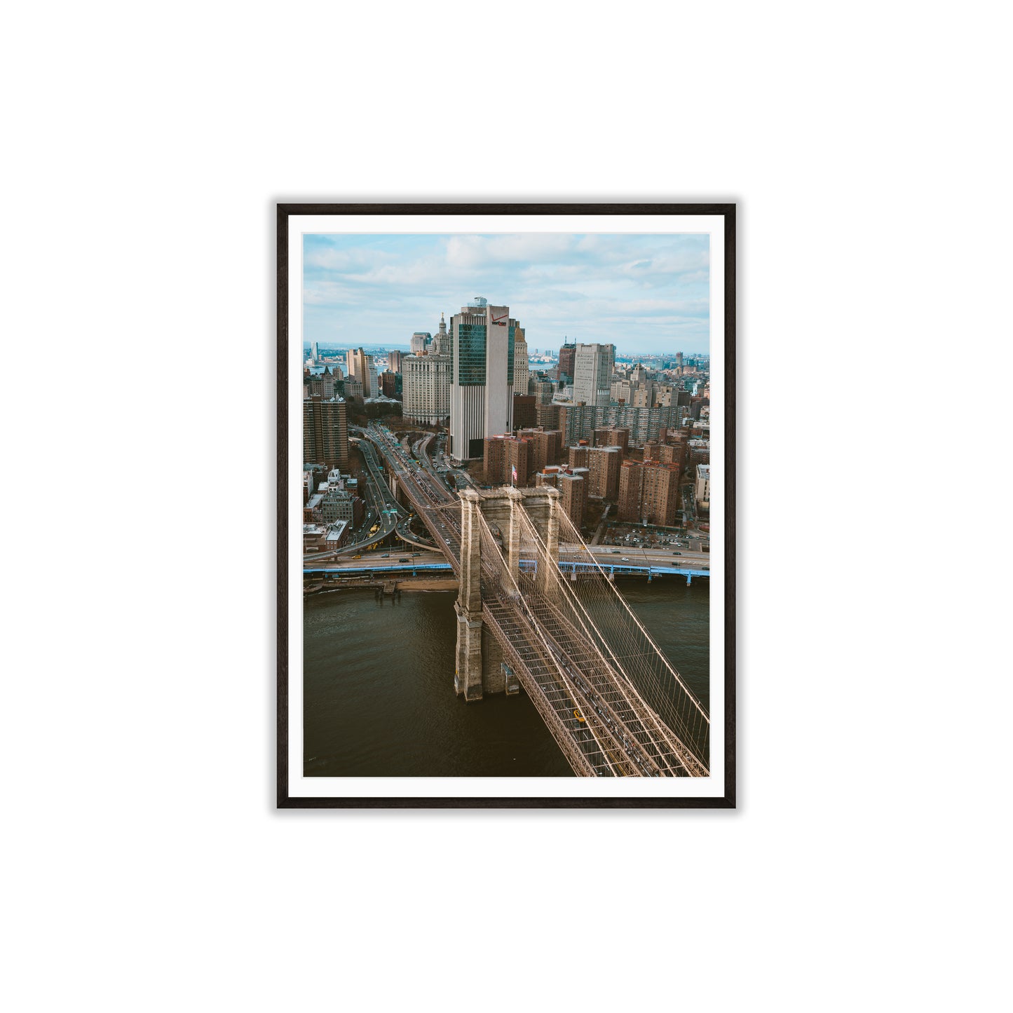 Concrete Jungle