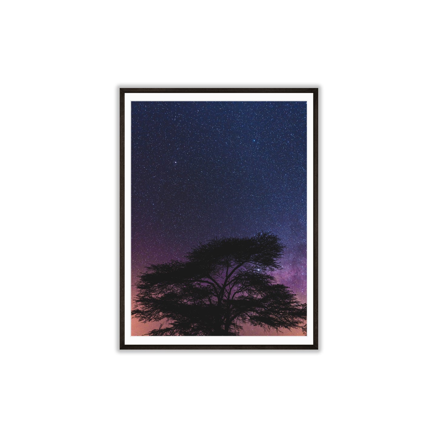 Mystic Forests