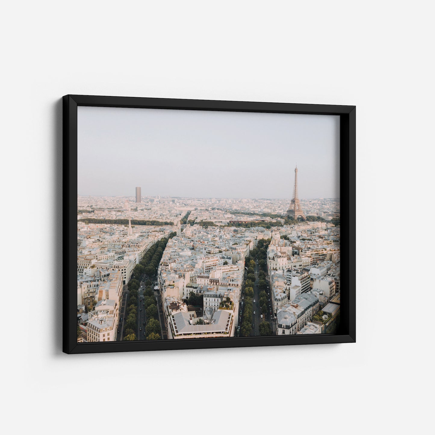 Parisian Panorama