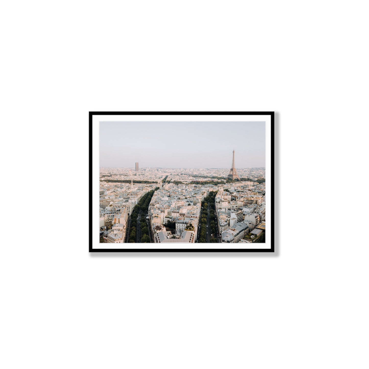 Parisian Panorama